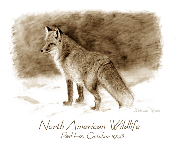 FOX6.jpg (49643 bytes)